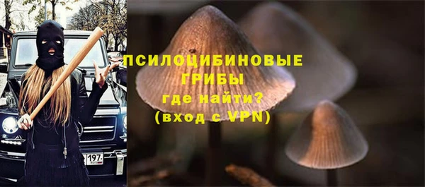 mdpv Мегион