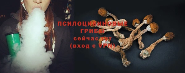 прущие крисы Медногорск