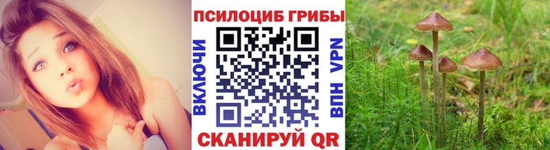 Галлюциногенные грибы мицелий  Устюжна 